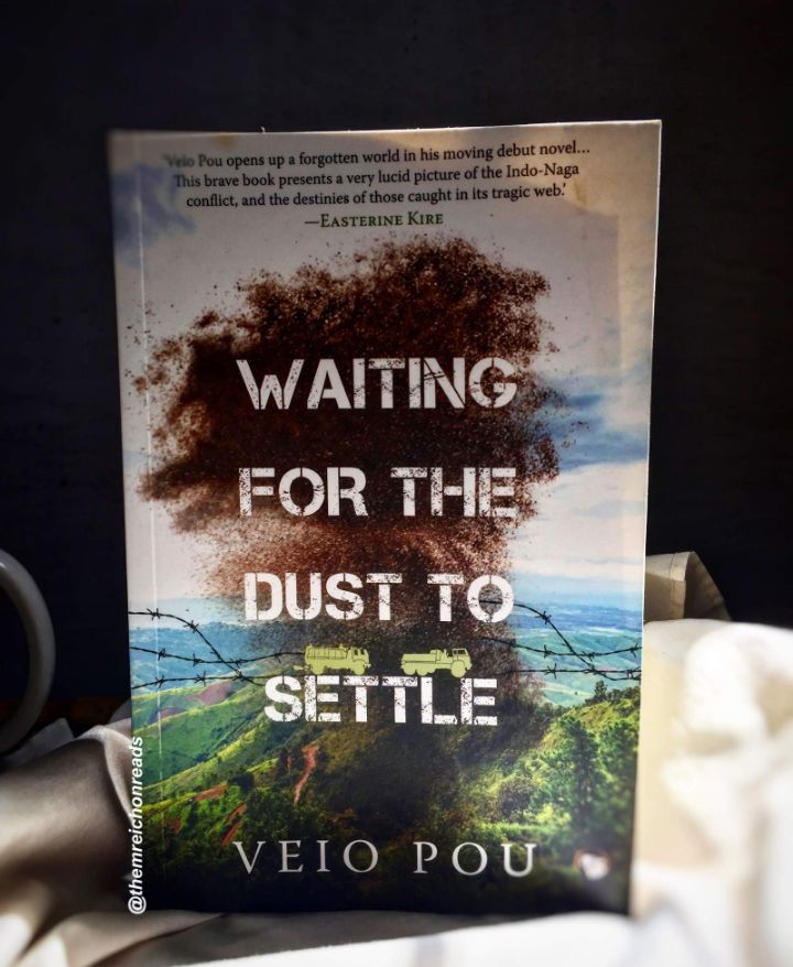 Review: Waiting for the Dust to Settle by Veio Pou